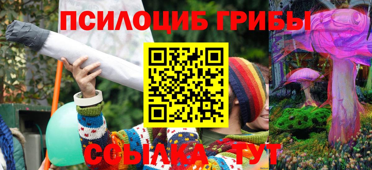 Галлюциногенные грибы мицелий  Вход с VPN  Псилоцибиновые грибы MAGIC MUSHROOMS  Щёлково 